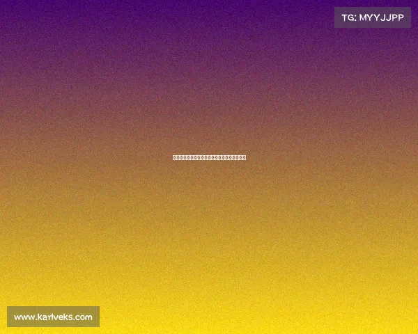 网球赛场背后的不为人知的故事与幕后英雄揭秘